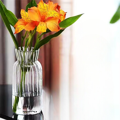 Vase en verre transparent - CreativeGlassVase™ - Style B