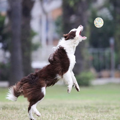 Balle pour chien - DogsPlayBall™ - Tricolor