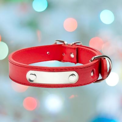 Collier de Chien - LeatherDogCollar™ - Rouge