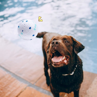 Balle pour chien - DogsPlayBall™ - Blanc