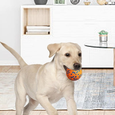 Balle pour chien - DogsPlayBall™ - Orange