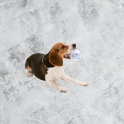 Balle pour chien - DogsPlayBall™ - Blanc