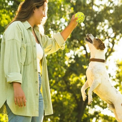 Balle pour chien - DogsPlayBall™ - Jaune