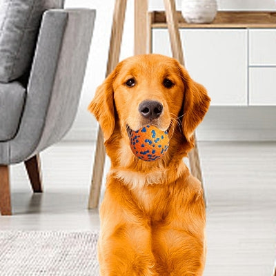 Balle pour chien - DogsPlayBall™ - Orange