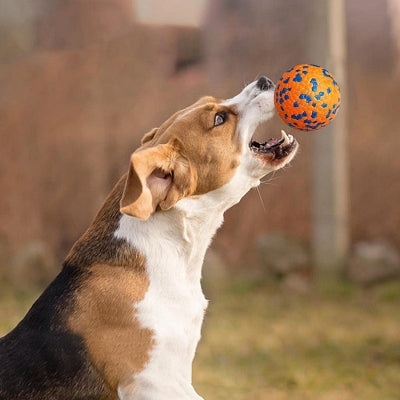 Balle pour chien - DogsPlayBall™ - Orange