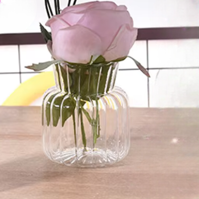 Vase en verre transparent - CreativeGlassVase™ - Style A