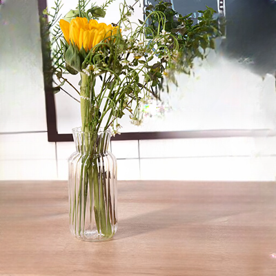 Vase en verre transparent - CreativeGlassVase™ - Style B