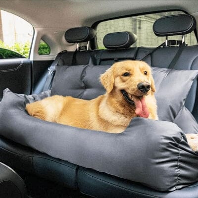 Siège auto animaux - CarrierTravelDog™ - Gris