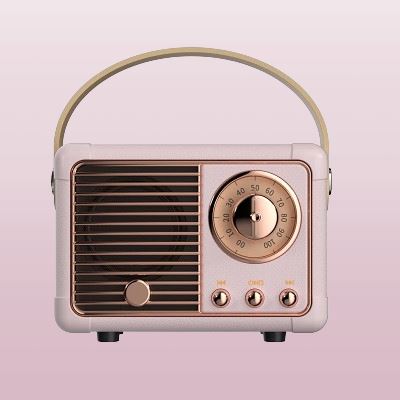 VintageBTSpeaker™ - rose