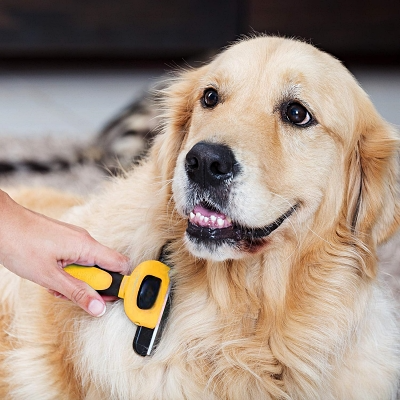 Brosse chien - DOGCombBrush™ - Jaune