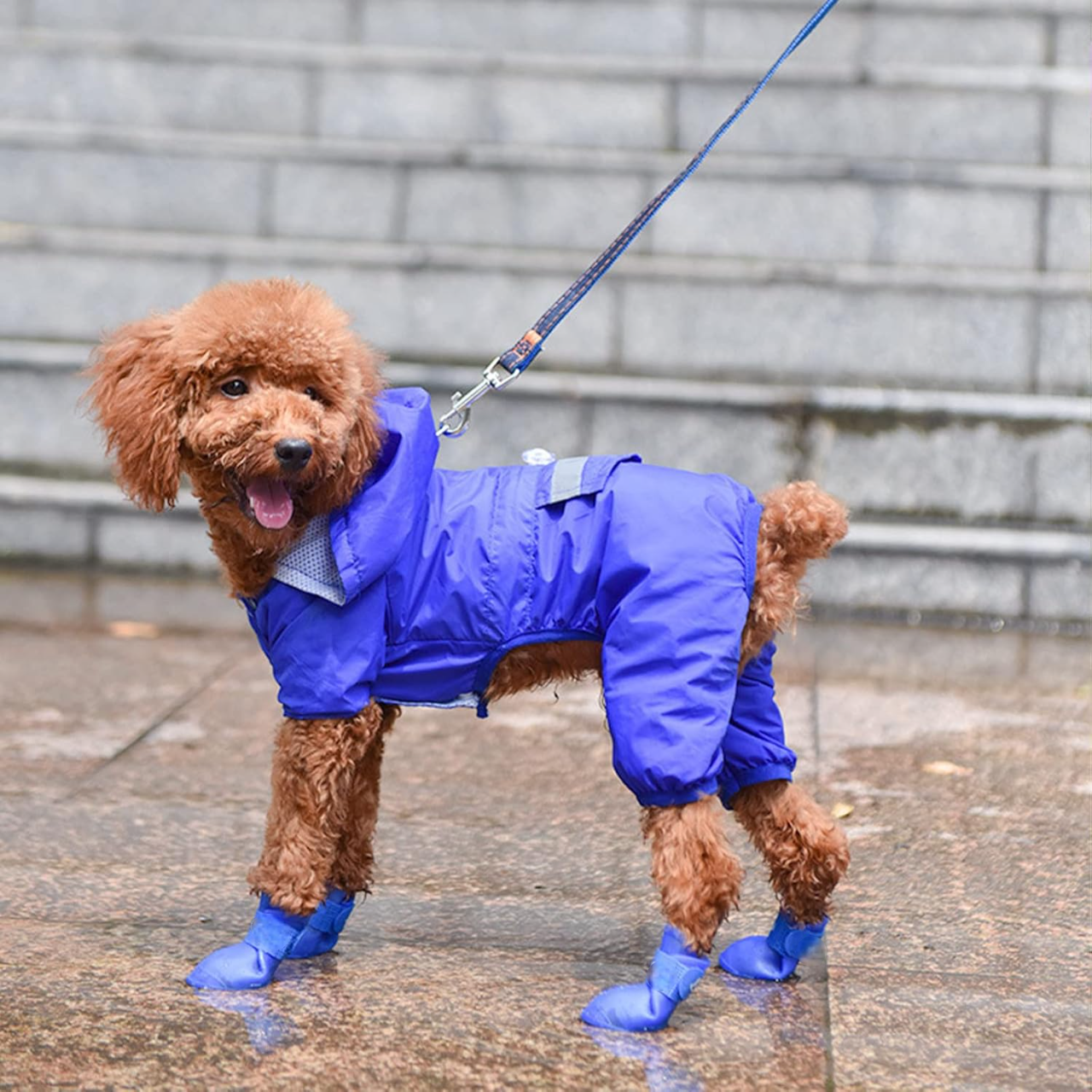 Bottes pour Chien - WaterProofDogBoot™ - Bleu