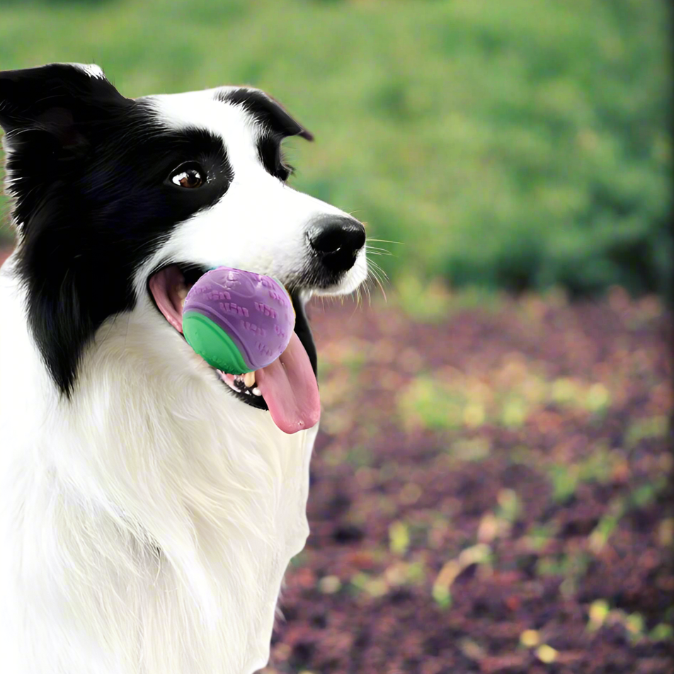 Balle pour Chien - InteractiveToys™ - Violet