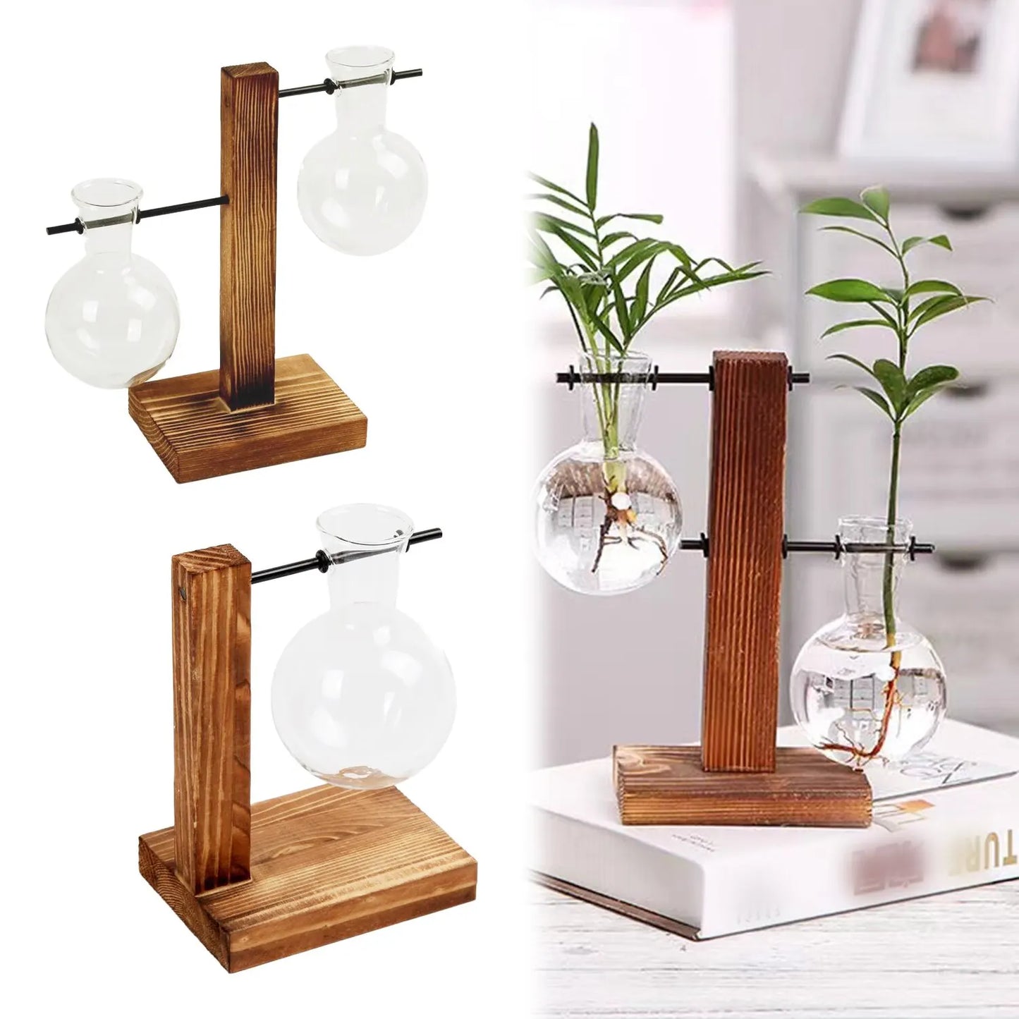 WoodenStand™ - Wooden stand transparent bulb