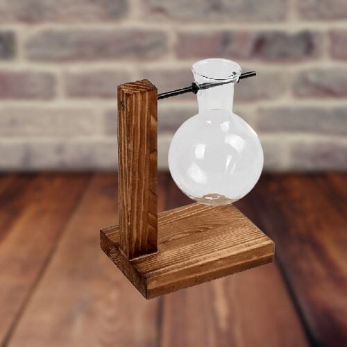 WoodenStand™ - Wooden stand transparent bulb