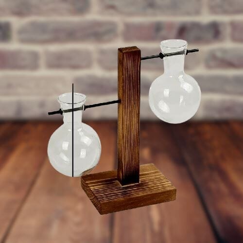 WoodenStand™ - Wooden stand transparent bulb