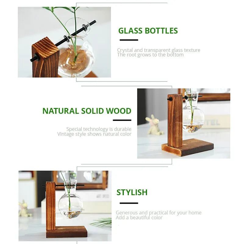 WoodenStand™ - Wooden stand transparent bulb