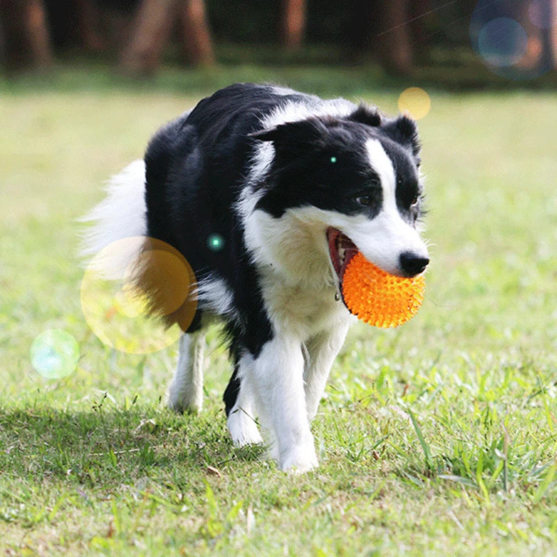 Balle pour Chien - BiteResistantBall™ - Orange