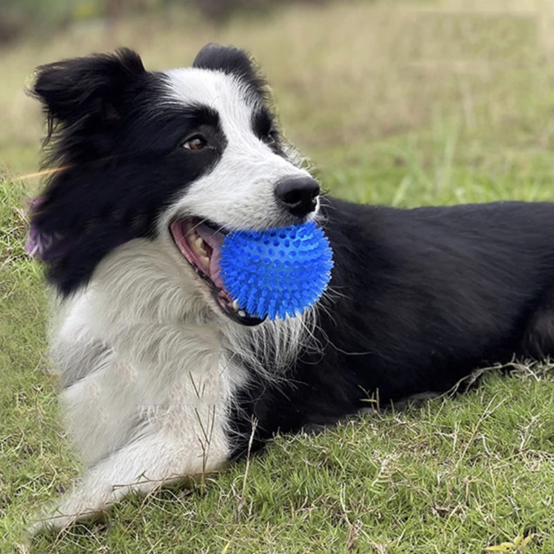 Balle pour Chien - BiteResistantBall™ - Bleu