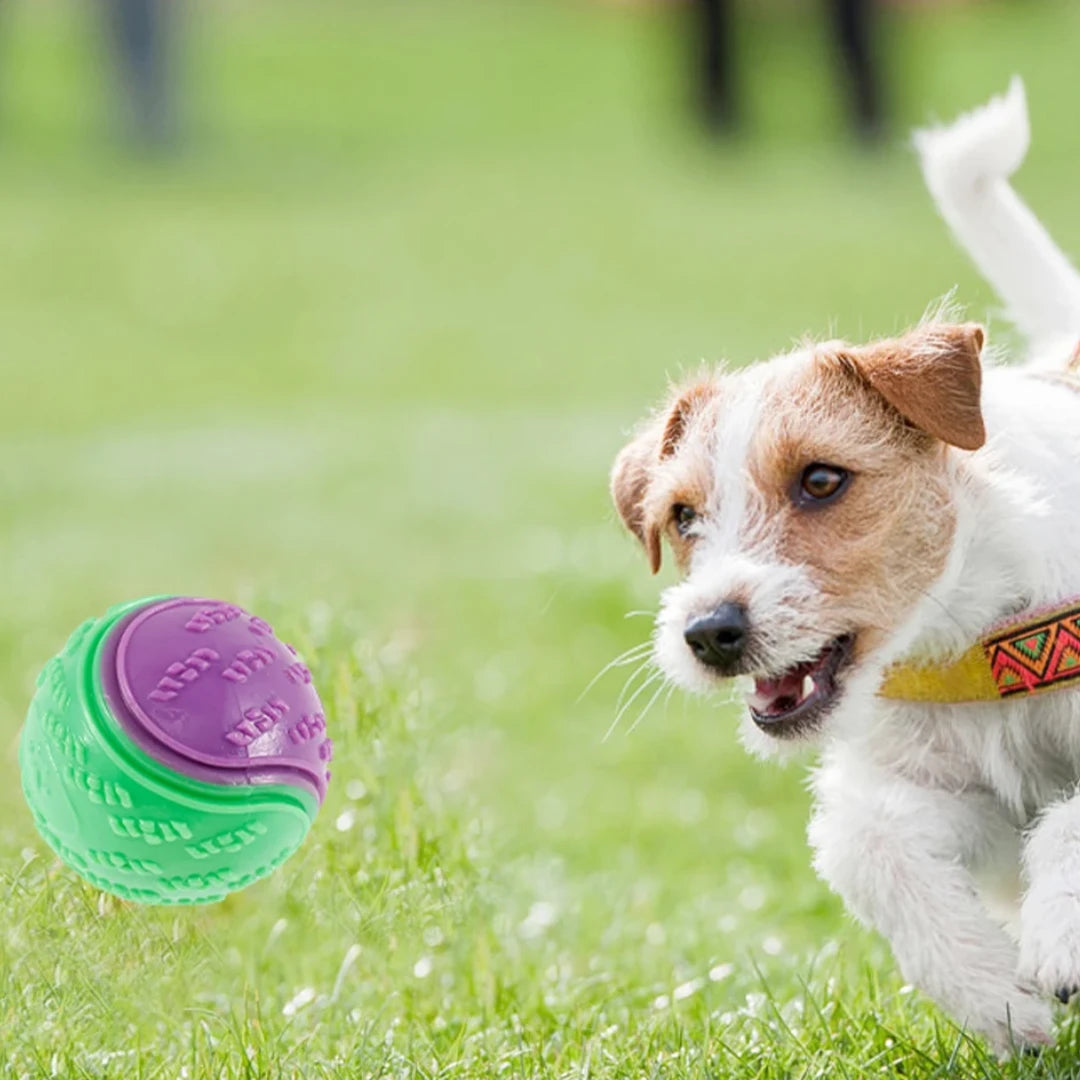 Balle pour Chien - InteractiveToys™ - Violet