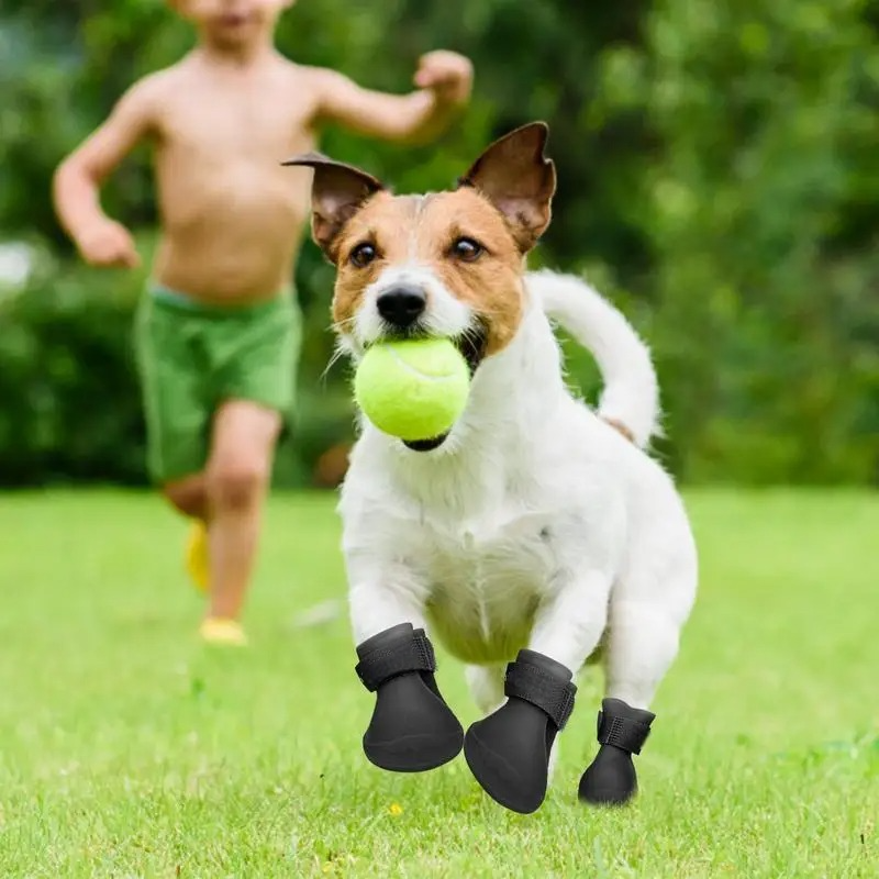 Bottes pour Chien - WaterProofDogBoot™ - Noir