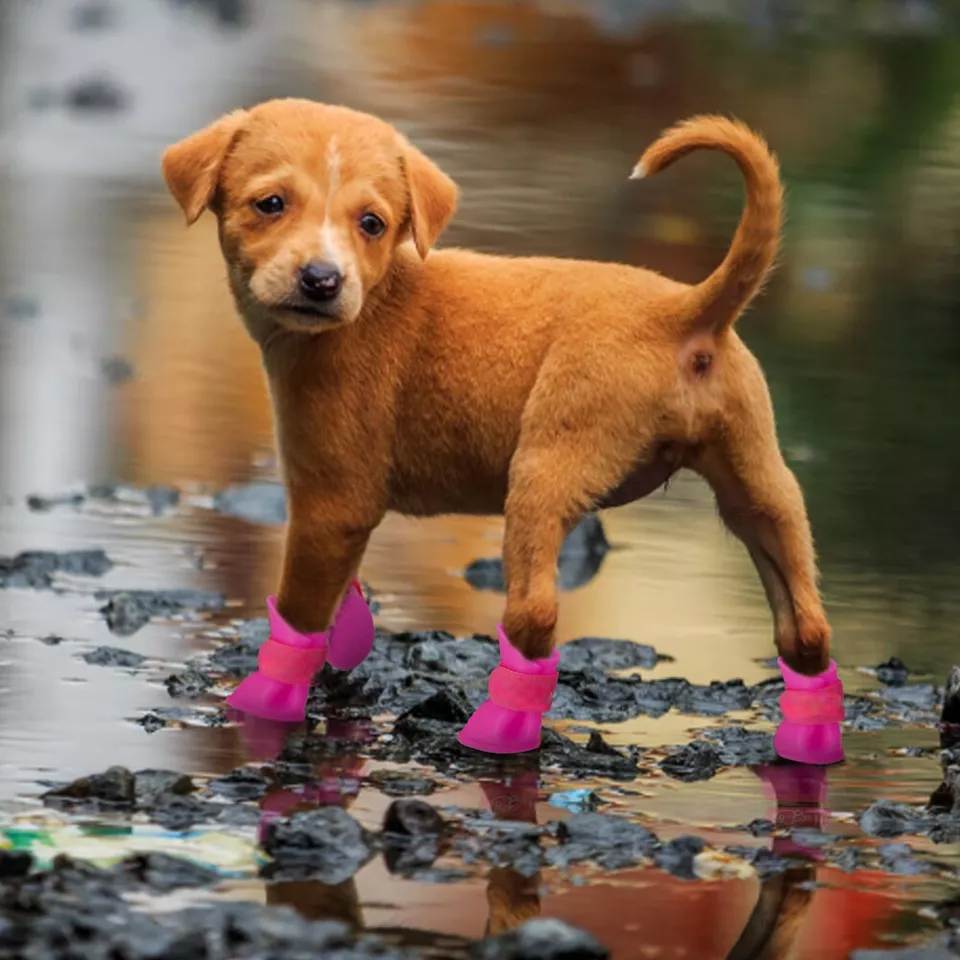 Bottes pour Chien - WaterProofDogBoot™ - Rose