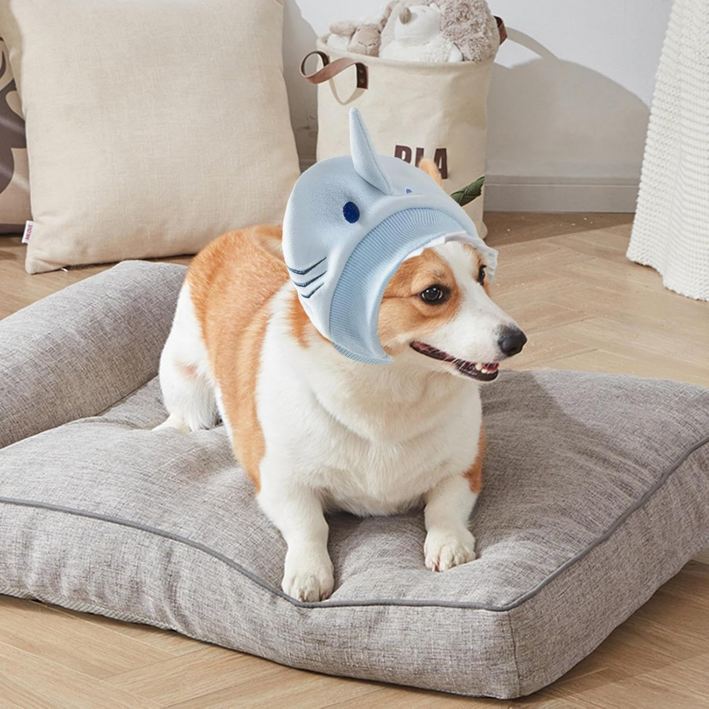 Cache Oreille - DogSoftEarmuffs™ - Requin