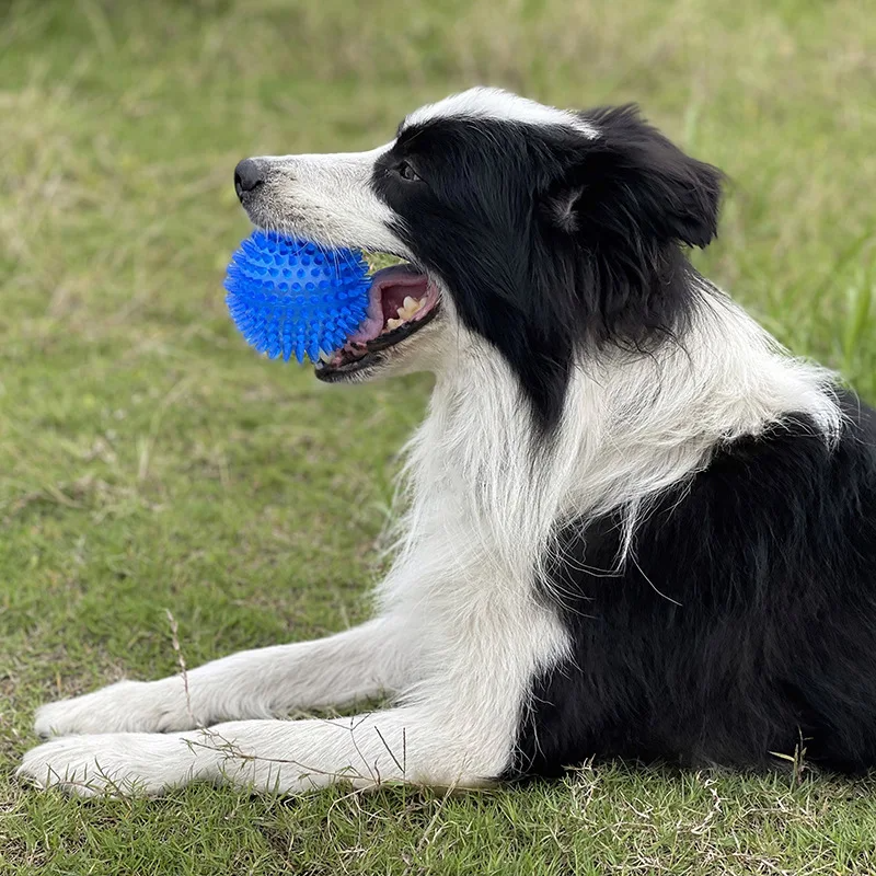 Balle pour Chien - BiteResistantBall™ - Bleu