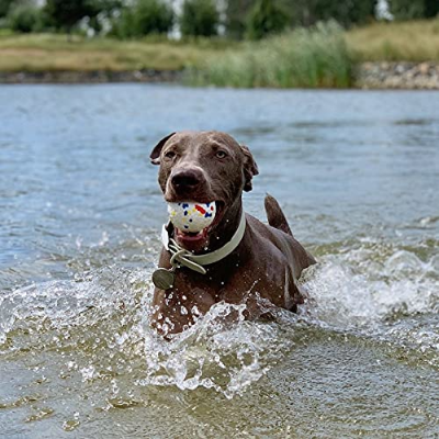 Balle pour Chien - PetGrindingTeethToy™ - Bleu&Rouge