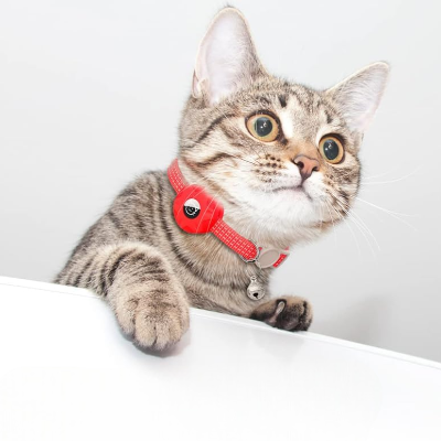 Collier Airtag Chat - CatAirTagCollar™ - Rouge