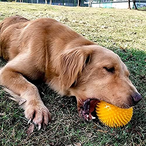 Balle pour Chien - BiteResistantBall™ - Orange