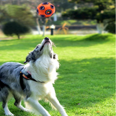 Balle pour chien - DogChewBall™ - Orange