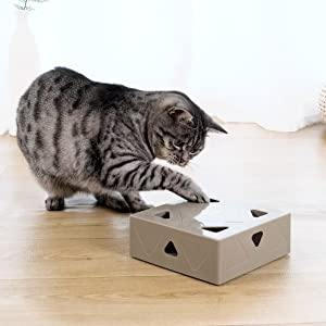 MouseBox™ attrape-souris électrique pour chat | Chat