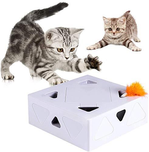 MouseBox™ attrape-souris électrique pour chat | Chat