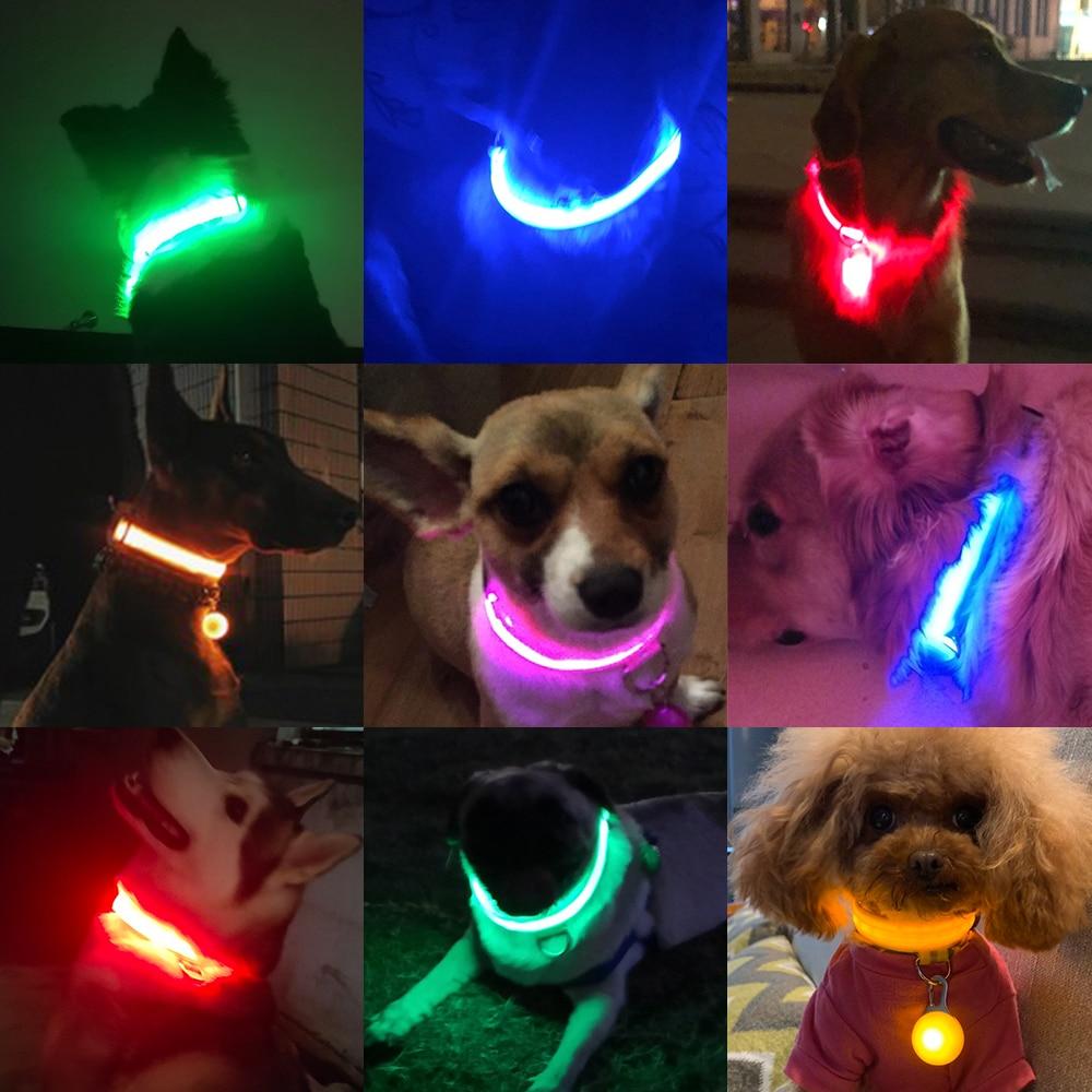 LedCollar™ - Collier à LED rechargeable pour chien