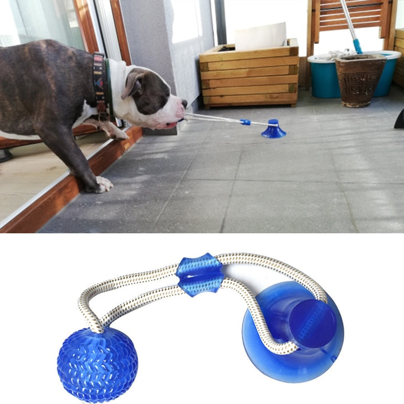 BestpetToy™ Jouet pour chien