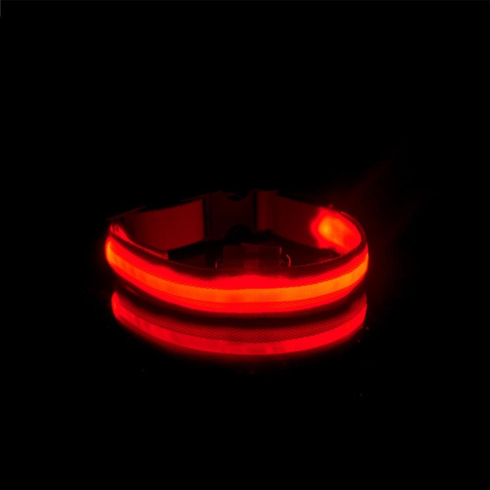 LedCollar™ - Collier à LED rechargeable pour chien